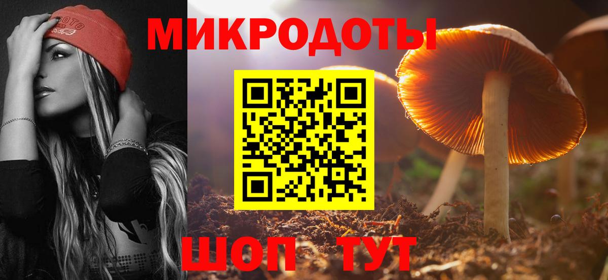 Псилоцибиновые грибы мухоморы Трёхгорный